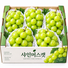 [한정초특가] 하루50박스 초고당도 샤인머스캣, 1개, 2kg