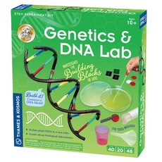 英國T&K 越玩越聰明STEAM寶盒：德國製造 新版基礎遺傳學 基因和DNA