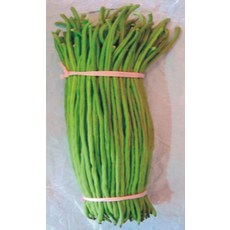 紅花仁白格長菜豆種子 1斤 生長快速 質嫩好吃, 1包