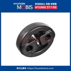 행거 배기파이프 (287613M300), 1개