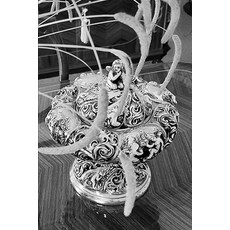 (영문도서)The Philosophy of Fear Bilingual edition in Japanese English and original Greek... Paperback, Independently Published, 9798273940123