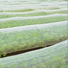 한랭사 해충방지 한냉사 방충망 농작물보호망 보호, 2Mx10M, 1개