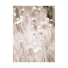 잔디 스파이크 식물 꽃 장식 그림 풍경 포스터 프레임 걸이 현대적인 소파 배경, A. C, 1. Random size