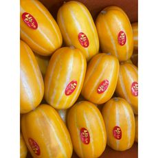 성주 참외 가정용 2.5kg 5kg 10kg (등급 - 상), 1박스, [08]가정용 참외 5kg / 대과