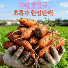 [특가한정판매] 26년 제주당근 구좌당근 햇당근, 1개, 왕 10kg