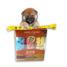 可降解拾便袋 狗便袋 垃圾袋 撿便袋 寵物便袋 貓砂袋 便便袋 寵物垃圾袋 加厚 撿便 寵物便袋 外出必備 遛狗狗狗外出, 綠色、紅色、藍色、黃色、橙色, 1個, 18