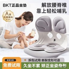 BKT 人體工學護腰坐墊 久坐神器 辦公室坐姿矯正 舒適腰靠背