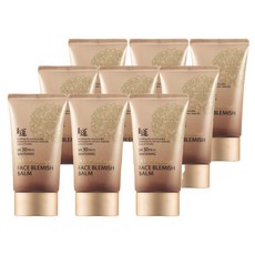 과일나라 본체청정연 생안 블레미쉬 밤 BB 9개 50g (SPF30 / PA++)