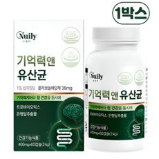뉴일리 기억력앤유산균 장건강 기억력 개선 은행잎 럭스로드, 1박스, 60회분