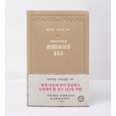 개역개정 평생 암송 성경 250 (쉬운성경 / NIV) 모카베이지, 아가페