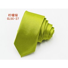 純色亮面領帶 手打款 正裝商務 男女適用 絲質材質 5公分 8公分寬 多色可選 簡約風格+檸檬綠27(5釐米)+均碼