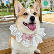 반려견 액세서리 목장식 레이스 리본 M 사이즈 애견포토용품