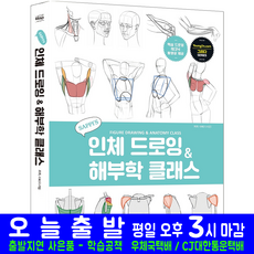 새삐 인체 드로잉 해부학 클래스(자격증 시험 교재 책 영진닷컴 서은