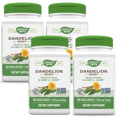 복부팽만감 소화장애 효능 민들레뿌리 추출물 4개100캡슐 캐나다직배송, 100정, 4개