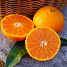 기타 제주 카라향 정품(소과) 3kg(20-30과/실중량 2.5kg), 제주 카라향 정품(소과) 3kg(20-30과/실중량 2