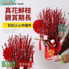 A14 銀柳乾燥花束，新年招財擺飾，春節居家裝飾, 買銀柳等銀留  【下單送兩個喜慶小燈籠】,【較少人選擇購買量少顯小氣四十釐米十支】