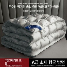 구스이불 이불 겨울 두꺼운 한파용 폴란드 호텔침구 힐튼, 듀폰 쥬화 스타일 그레이