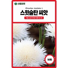 산들마켓 스윗술탄 허브씨앗 50립 겨울 눈송이처럼 피어나는 1~2년생 허브씨 종자, 4개