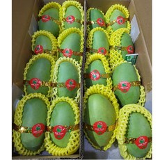 [비엠케이] 베트남 그린망고, 1박스, 5kg 내외 (케오)