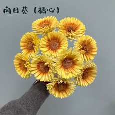 花藝夢 向日葵索拉 8公分 5支 高品質索拉 擴香花 乾燥花 永生花 不凋花 畢業花束 向日葵 大朵向日葵, 向日葵(橘心)