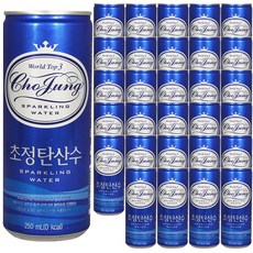 초정탄산수, 250ml, 60개