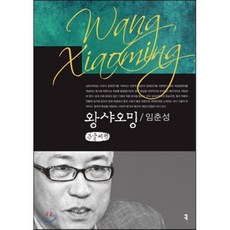 왕샤오밍 큰글씨책, 커뮤니케이션북스, 임춘성 저