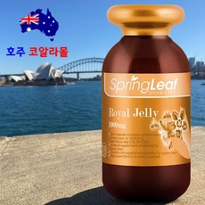 스프링리프 호주 로얄젤리 1000mg 365캡슐 6%, 1개, 365정