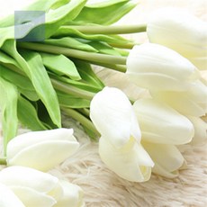 대각심 튤립 조화아이보리 조화부케