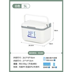 아이스박스 차량용 캠핑 휴대용 미니 쿨러 박스 보냉 가방 소형 보냉백, 1개, 1L, 5L 화이트