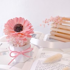 向日葵香氛擴香花 蘋果粉, 盛夏向日葵香氛擴香花蘋果粉(贈送5ml香氛油)