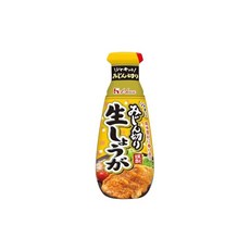 하우스식품 다지기 생생강 160g x 5개