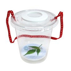 (SA) 볼록겐즈 관찰 상자 만들기(5인)