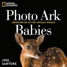 National GeoGRAPHIC 그래픽 PHOTO 포토 Ark Babies: Growing Up in THE 더 ANIMAL 애니멀 World (THE Ark) [hardc