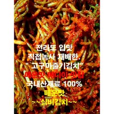 전라도김치.매운맛(실비 고구마순김치)직접농사지은 제철맞은 고구마순김치 국내산재료100% 햇 고구마순김치 500g 1kg 2kg 3kg 5kg, 1개