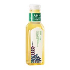 판다중국식품 동방수잎 녹차 차음료, 2개, 500ml