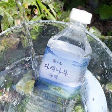 다래수액 다래나무 국내산 자연야생 직접채취, 20개, 500ml