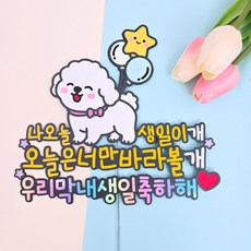 강아지생일토퍼 반려견 반려동물 포토토퍼 생일, 포토사용안함