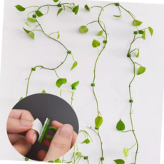 식물클립 다용도 식물 고정기 농작물 줄기 고정 클립 집게 10p