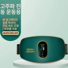 진동기 빼기 음파진동기 바디 뱃살덜덜이 운동 덜덜이 살빼는 마사지 기계 헬스장, 기본 모델 기본기기, 기본 모델명/품번