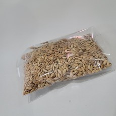 볍씨 88g 학교체험 과학실험 나락 재물운 운세 사주팔자 점집 벼씨 인테리어 신주단지