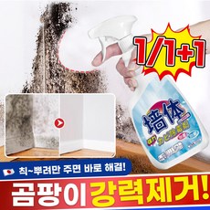 [재고확보/빠른출고] 1/1+1 뿌리는 곰팡이 제거제 방지제 벽지 욕실 벽 화장실 베란다 창틀 얼룩 제거, 1개, 500ml