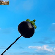 장식 귀여운 채소 꾸미기 실외 과일 호환 차량용 안테나볼 소품 튜닝 용품, 망고스틴은 안테나를 달지 않는다.