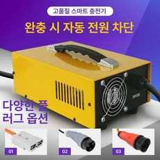 전동 지게차 충전기 재생기 납산 청소차 캠핑카 복원기 트럭 골프카트, 72V30A, 1mAh, 1개