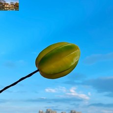 장식 귀여운 채소 꾸미기 실외 과일 호환 차량용 안테나볼 소품 튜닝 용품, 카람볼라에는 안테나가 없다.