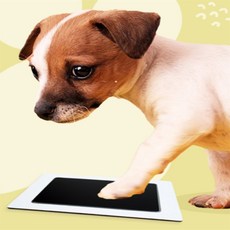 행복택배 강아지 발도장 스탬프 동물발자국도장, 검