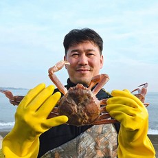 [만솔수산] 국내산 100% 산지직송 생물 동해안 일반대게, 1박스, 일반대게 찜 1kg(소중 섞어서 3마리)