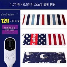 차량용 전기담요 1인용 2인용 USB 온열 캠핑 무선 방수 안전 매트 65자, 12V 170x50cm 9단 타이머 0x0m, 1개