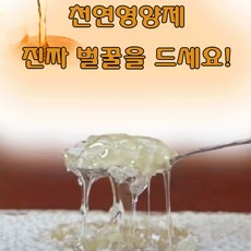 첫인사선물 추석 답례품 여자친구 상견례 부모님 선물 양봉 벌꿀 세트, 1개