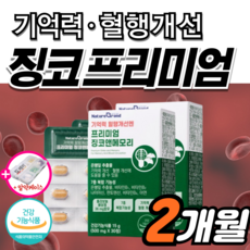 고함량 징코 플러스 기억력 혈액 혈행 개선 순환 은행잎추출물 인지력 에좋은 수험생 감퇴 식약청 식약처 혈관 집중력 청소, 2박스, 30정