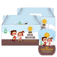 몸애쏙쏙 유기농 어린이 배도라지즙 30포입 2박스 유아 도라지배즙, 혼합맛(배/도라지)